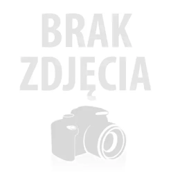 FASOLA SZPARAGOWA ZIELONA CIĘTA 450G [14SZT] HORTEX